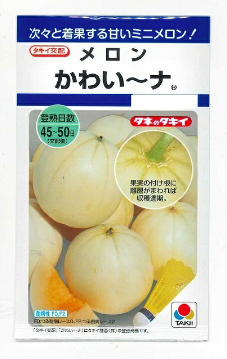 楽天市場 メロンかわい ナ8粒タキイ交配 グリーンロフトネモト