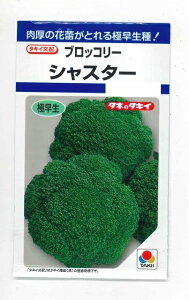 �u���b�R���[ �V���X�^�[ 1.3ml �^�L�C��c(��)DF