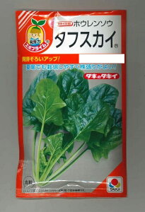 ق񂻂 ^tXJC 40ml ^LCc() RF