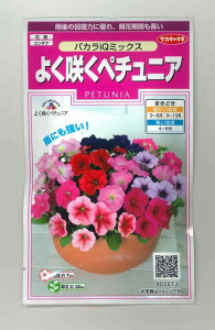 Ԃ̎ 悭炭y`jA oJIQ~bNX 50 350