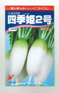 卪 lGP2 1000 nӔ_()