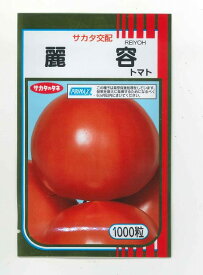 トマト麗容　1000粒（株）サカタのタネ