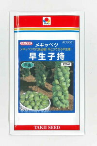 ��L���x�c �����q�� 20ml �^�L�C��c(��) [��q/���]