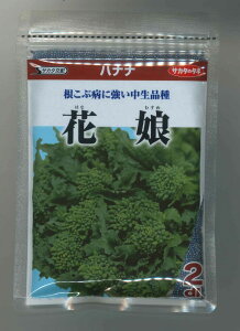 nii Ԗ 2dl ()TJ^̃^l