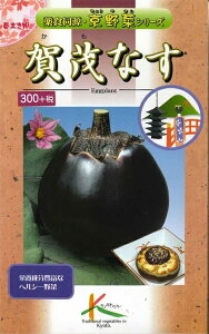 Ȃ  ΂Ȃ 1ml ij^J}V[h