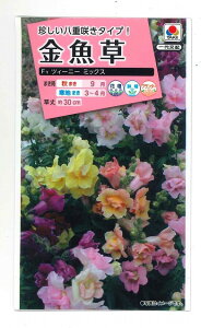 Ԃ̎  cC[j[~bNX ^LCc()