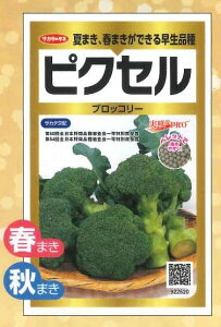 �u���b�R���[ �s�N�Z�� �y���b�g300�� (��)�T�J�^�̃^�l ����PRO [��q/���]