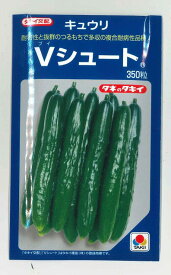 きゅうり Vシュート 350粒 タキイ種苗(株)