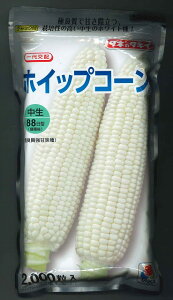 �Ƃ����낱�� �z�C�b�v�R�[�� 2000�� �^�L�C��c(��) [��q/���]