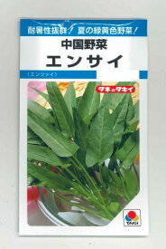 中国野菜エンサイ　13ml　　タキイ種苗（株）　MF