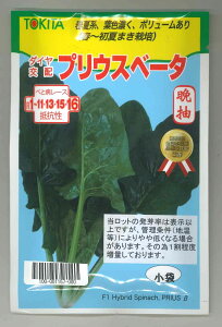 �ق���񂻂� �v���E�X�x�[�^ ����(40ml) �g�L�^��c(��) [��q/���]