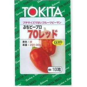 s[} Ղs[v bh 100 gL^c()