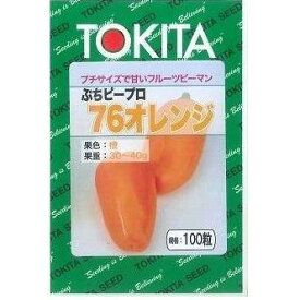 ピーマンぷちピープロ　オレンジ100粒　トキタ種苗（株）