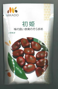 そら豆 初姫 23粒 ヴィルモランみかど(株)