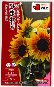 Ԃ̎ Ђ܂ F1Tb`}LD3ml ^LCcij@NL300