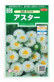 花の種　アスター　松本ホワイト　約190粒　（株）サカタのタネ　実咲