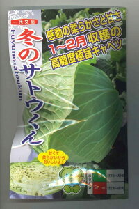 Lxc ɊÃLxc ~̃TgE 40 igcij