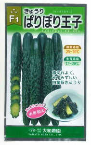 イ ςۂ艤q 10 ija_