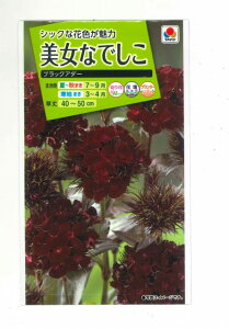 Ԃ̎ Ȃł ubNA_[  ^LCc()(NL200)