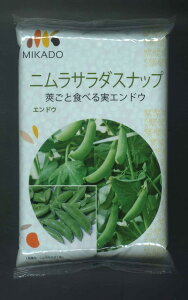 GhE jT_Xibv 1L (悻2400) B݂ǁij