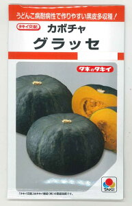 ���ڂ��� �O���b�Z 9�� �^�L�C��c(��) RF [��q/���]