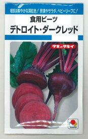 その他食用ビーツデトロイト・ダークレッド9ml　タキイ種苗（株）MF