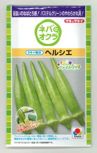 �I�N�� �w���V�G 90�� �^�L�C��c(��) PF [��q/���]