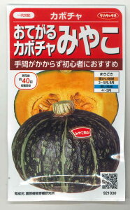 ���ڂ��� �݂₱ ���悻7�� (��)�T�J�^�̃^�l ����450 �i002873�j [��q/���]