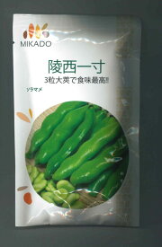 そら豆 陵西一寸 23粒 ヴィルモランみかど（株）