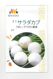 かぶ サラダカブ 4ml ヴィルモランみかど(株)