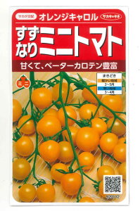 �~�j�g�}�g �I�����W�L������ 15�� (��)�T�J�^�̃^�l ����450�i004027�j [��q/���]