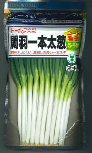 ˂ ։H{ ybgq 5痱 ()g[zN