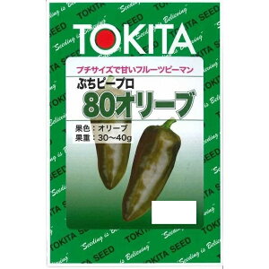 s[} Ղs[v I[u 100 gL^c()