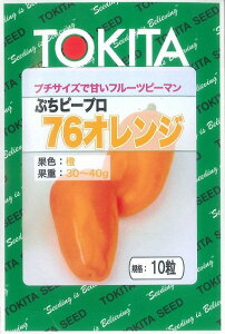 s[} Ղs[v IW 10 gL^c()