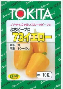 s[} Ղs[v73@ CG[ 10 gL^c()