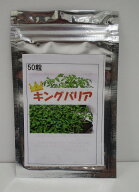 台木 (トマト用) キングバリア 50粒 タキイ種苗(株) [種子/野菜]