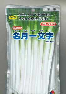 �˂� �����ꕶ���i����q�j 1dl �^�L�C��c(��) [��q/���]