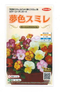 Ԃ̎ pW[ FX~ [jOX}C 50 ()TJ^̃^l 500i105173j