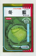 キャベツ 冬藍 2000粒 (株)サカタのタネ [種子/野菜]