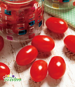 �~�j�g�}�g ����@1000�� �^�L�C��c(��) [��q/���]