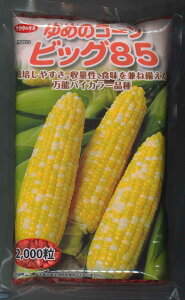 Ƃ낱 ߂̃R[rbO85@2000ijTJ^̃^l