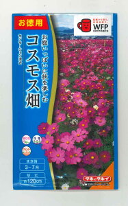 Ԃ̎ ppbNI RXX ZZ[V ^LCc()