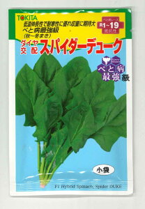 �ق���񂻂� �X�p�C�_�[�f���[�N ����(30ml)�g�L�^��c(��) [��q/���]