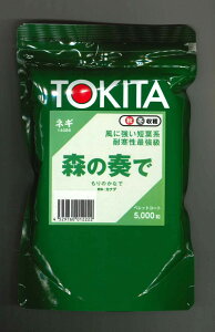 ˂ X̑tŃybgq5000 gL^c()