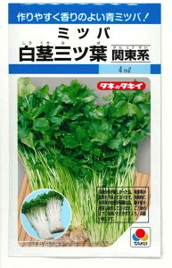 �~�c�o ���s�O�c�t�i�֓��n�j4ml�i��780���j�^�L�C��c�i���jMF [��q/���]