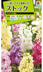 Ԃ̎XgbN@NX}X܁i120j^LCcij