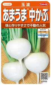 かぶ 玉波 約900粒(株)サカタのタネ 実咲450(003099)