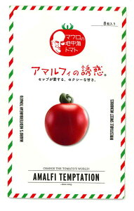 ~jg}g A}tB̗Uf 8 TiebNV[hij