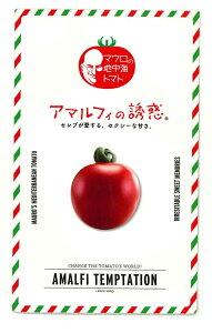 �~�j�g�}�g �A�}���t�B�̗U�f 100�� �T�i�e�b�N�V�[�h�i���j [��q/���]