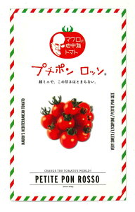 �~�j�g�}�g �v�`�|�����b�\ 100�� �T�i�e�b�N�V�[�h�i���j [��q/���]